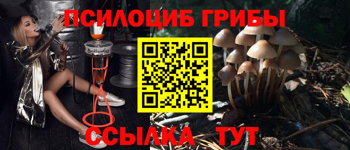 Псилоцибиновые грибы Psilocybine cubensis  Псилоцибиновые грибы мухоморы  Вход с VPN  Стрежевой 